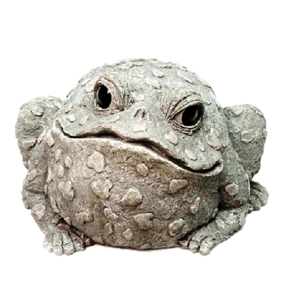 Decorative Garden Toad png transparent