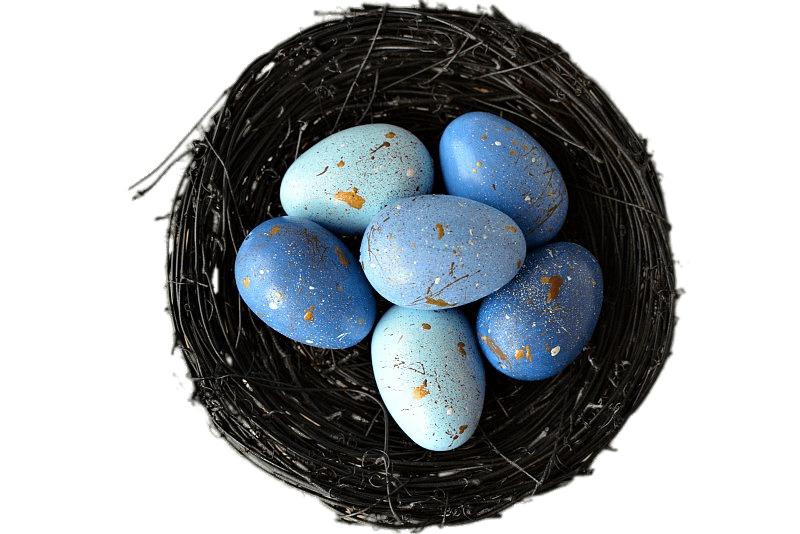 Decorative Nest With Blue Eggs png transparent