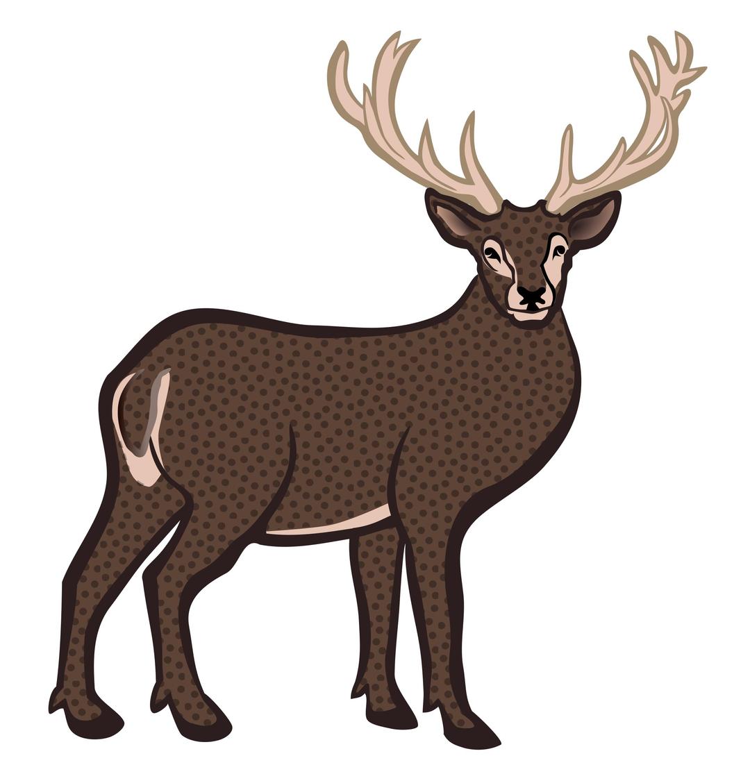 deer - coloured png transparent