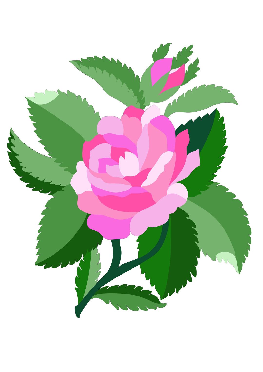 Design for damask rose png transparent