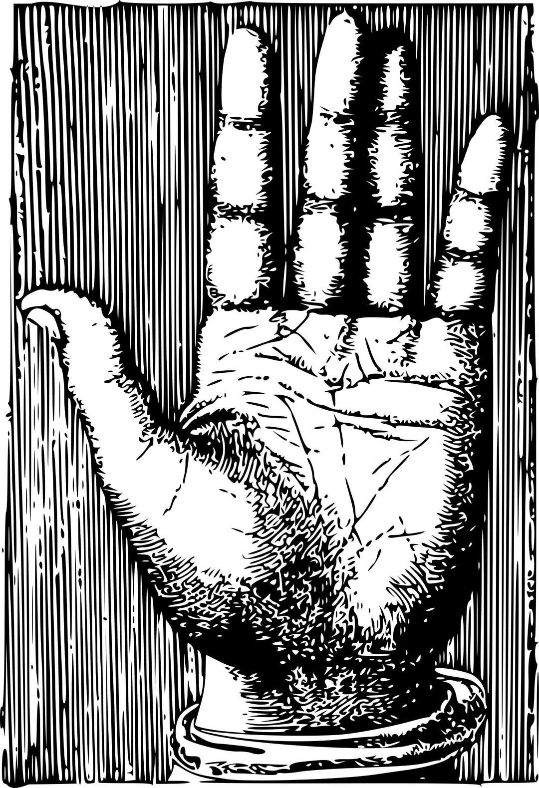 Detailed Palm for Palm Reading png transparent