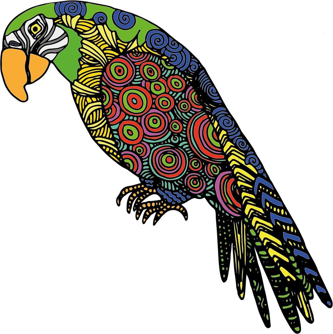 Detailed Parrot png transparent