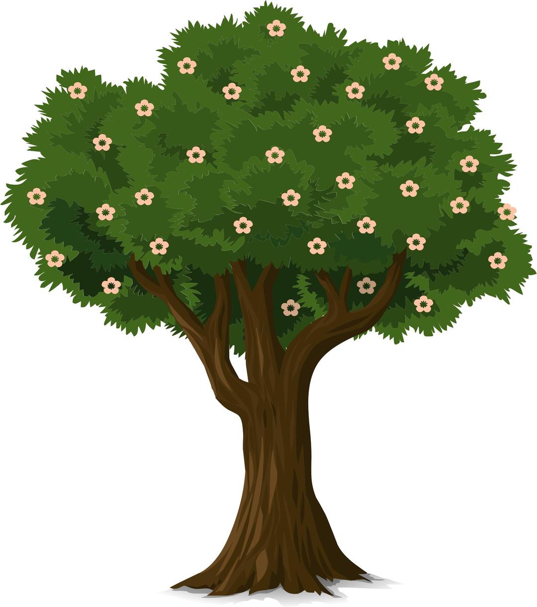 Detailed Tree png transparent
