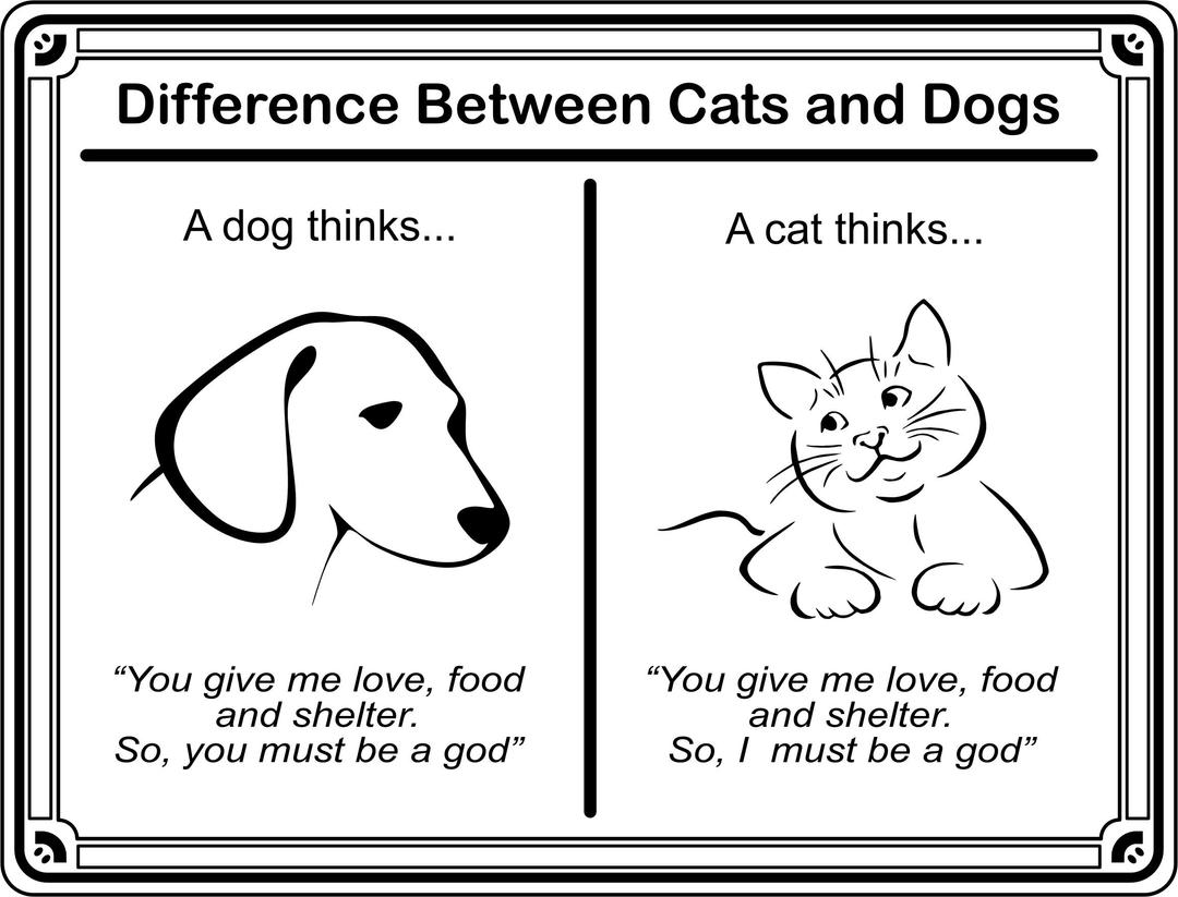Difference Between Cats and Dogs png transparent