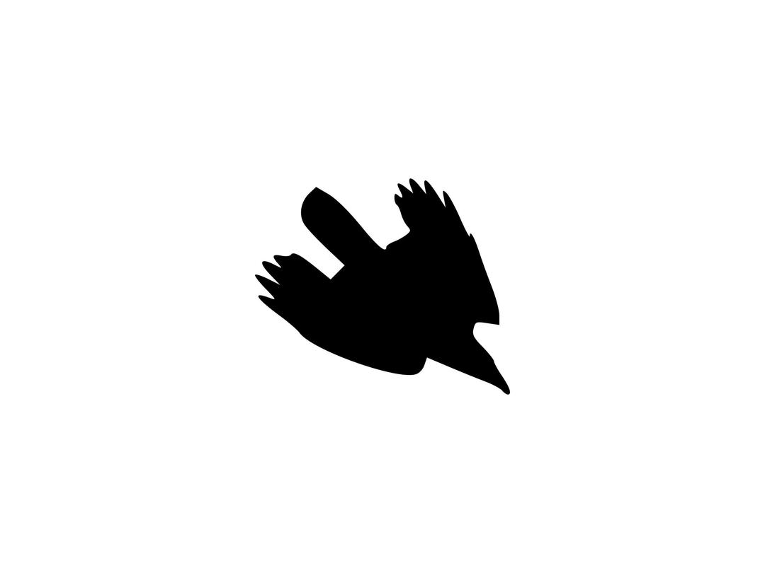 diving crow silhouette png transparent