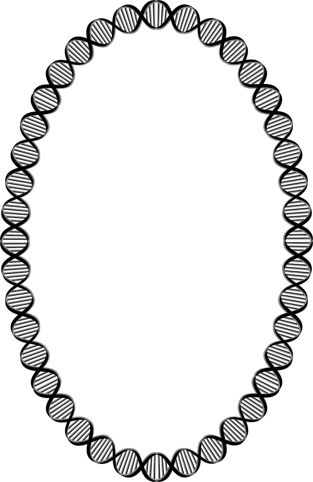 DNA Ellipse png transparent