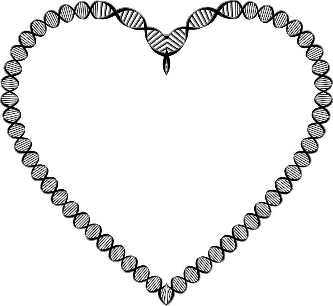 DNA Heart Variation 2 png transparent