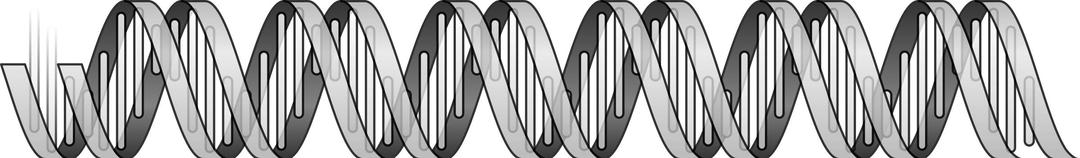 DNA Helix png transparent