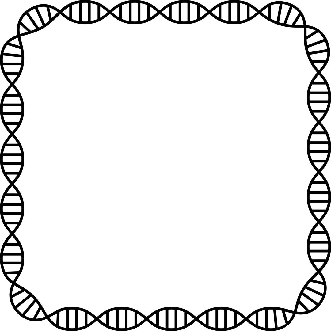 DNA Helix Frame 3 png transparent