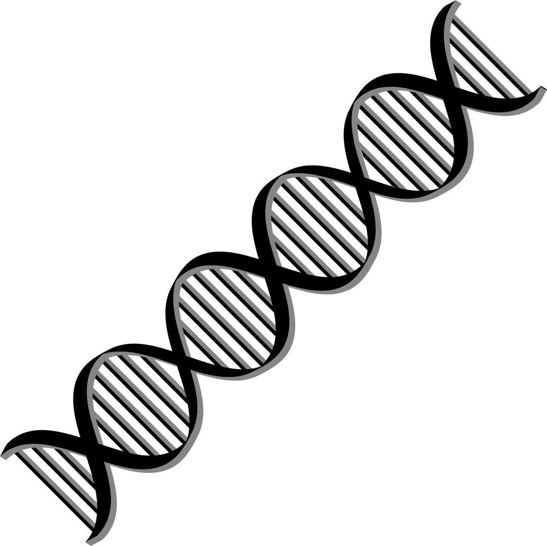 DNA Helix Variation 2 png transparent