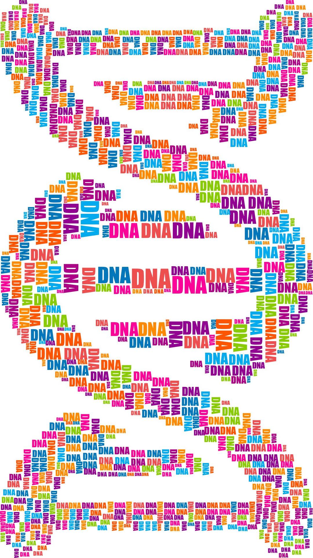 DNA Strand Word Cloud Typography png transparent