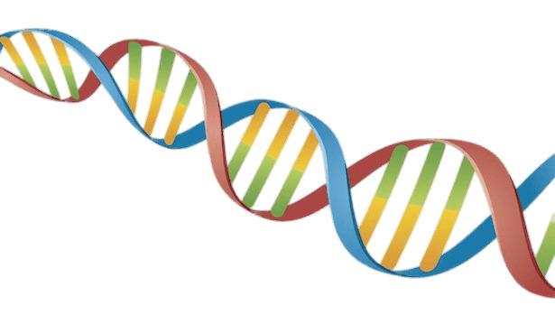 DNA String Coloured png transparent