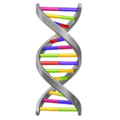 DNA String Vertical png transparent