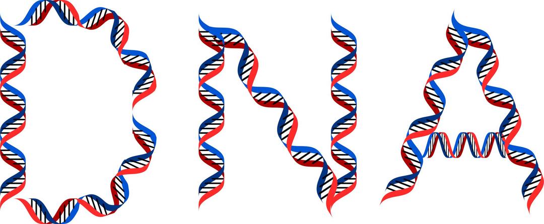 DNA Typography png transparent