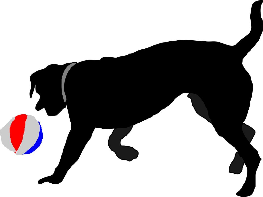 Dog Chasing Ball png transparent