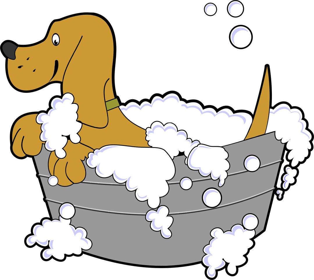 Dog In Washing Tub png transparent