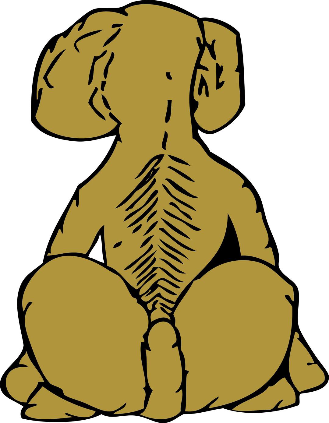 dog rear view png transparent