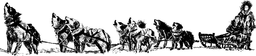 dog sled and team png transparent