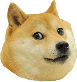 Doge Head Right png transparent
