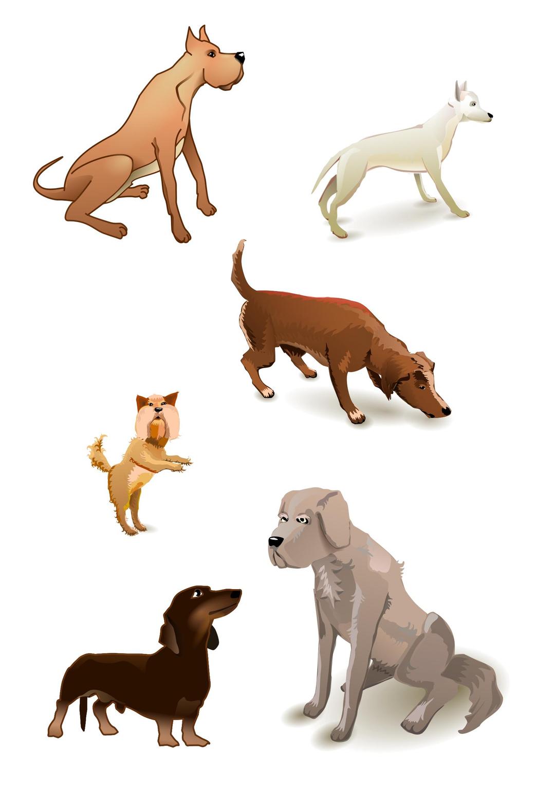 dogs pack png transparent