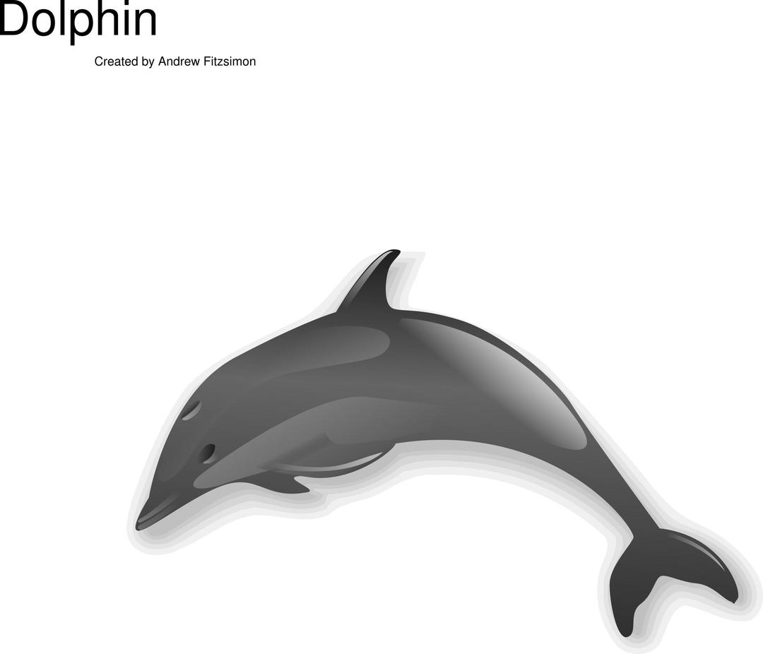 dolphin png transparent