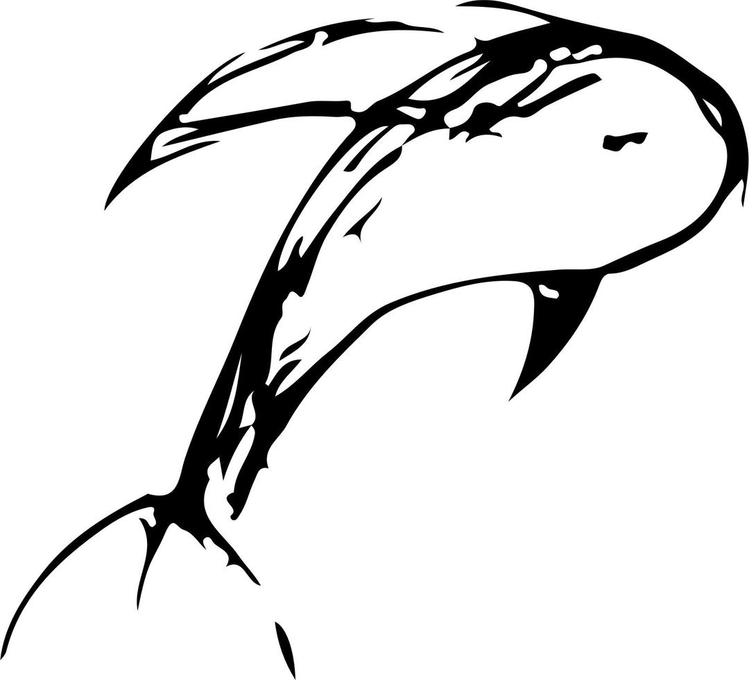 Dolphin freehand png transparent