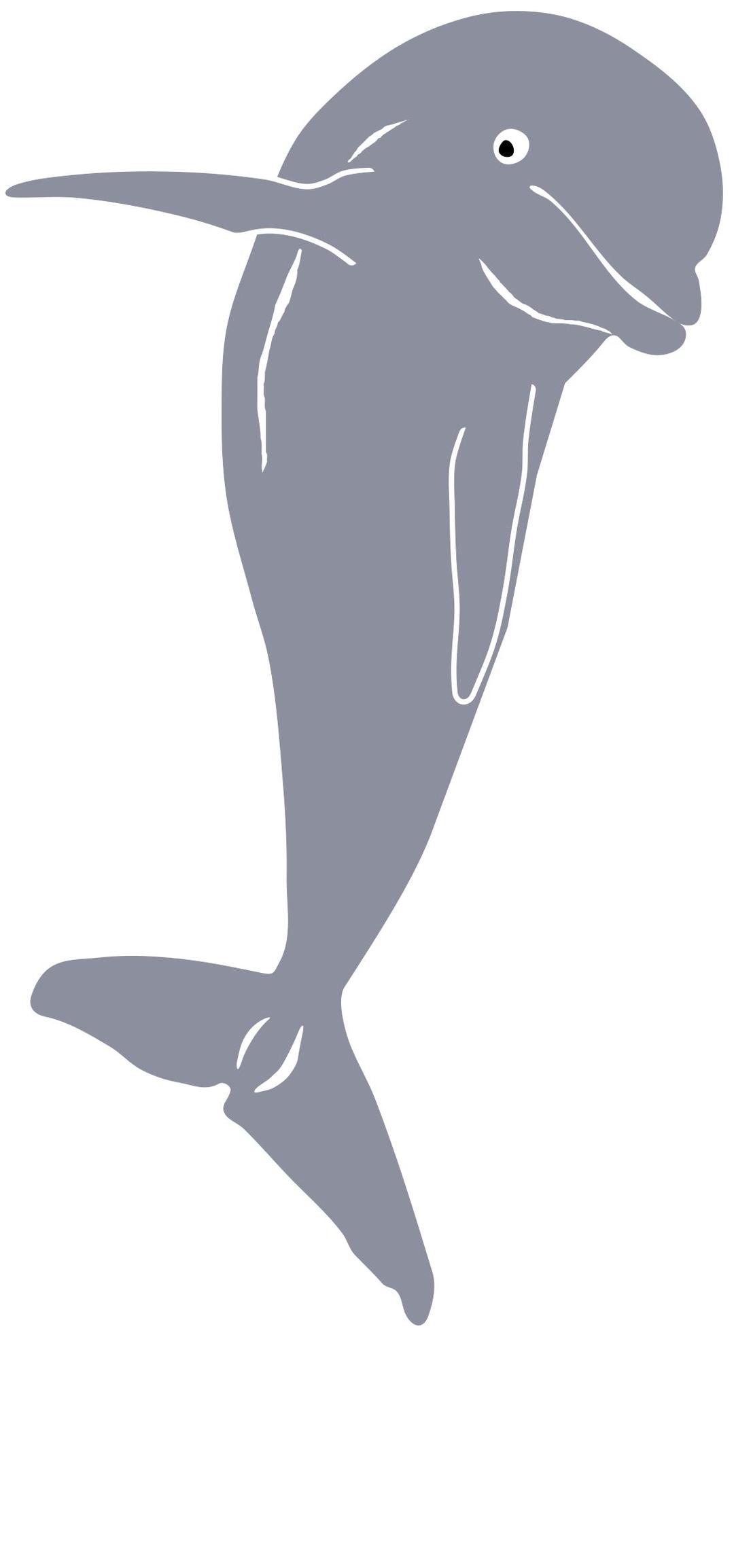 Dolphin Jumping, Front png transparent