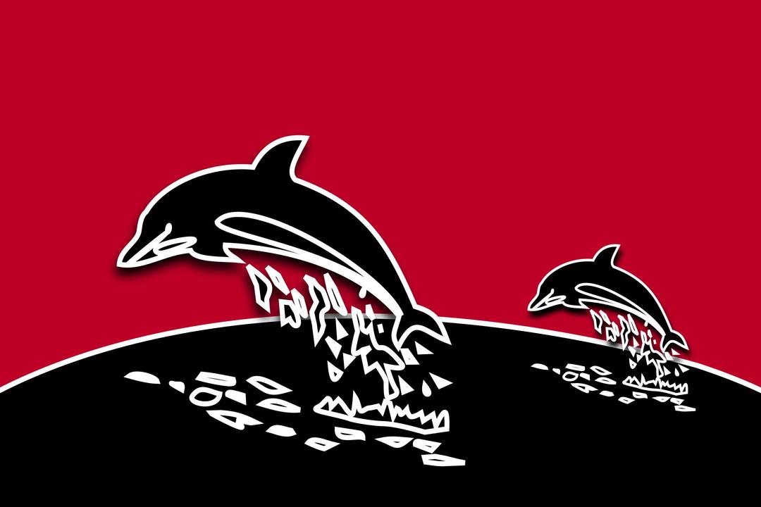 dolphin tandem with redBG png transparent