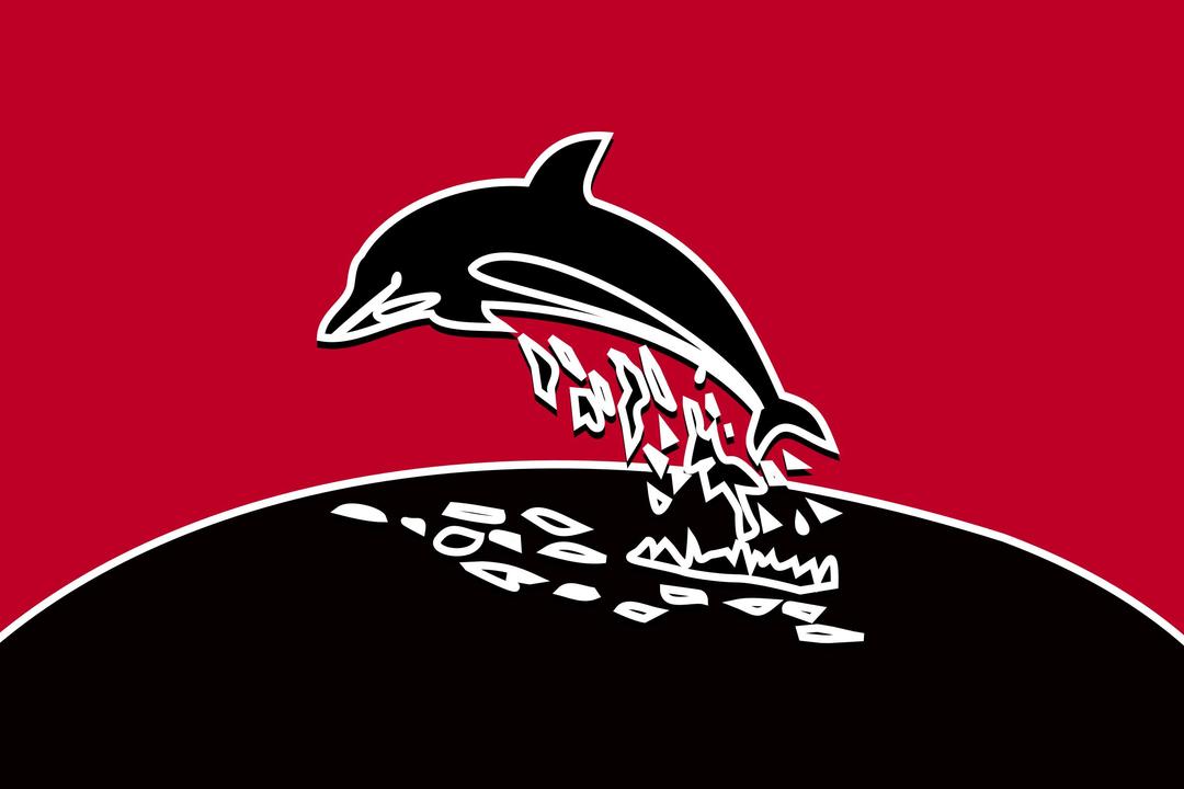 dolphin with shadow and redBG png transparent