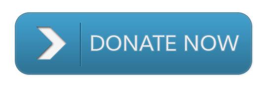Donate Now Button png transparent