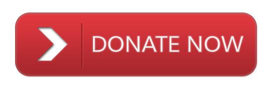Donate Now Red Button png transparent