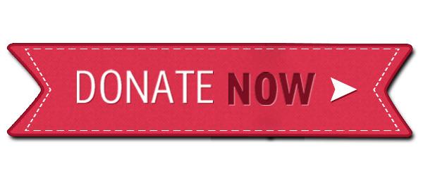 Donate Now Stitched Button png transparent