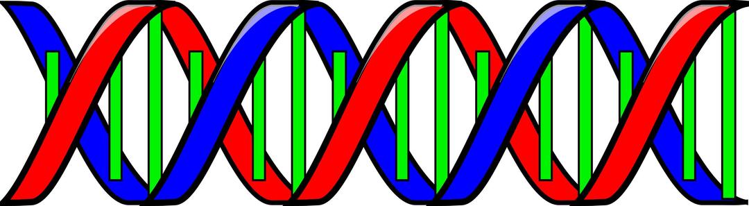 Double Helix (DNA) png transparent