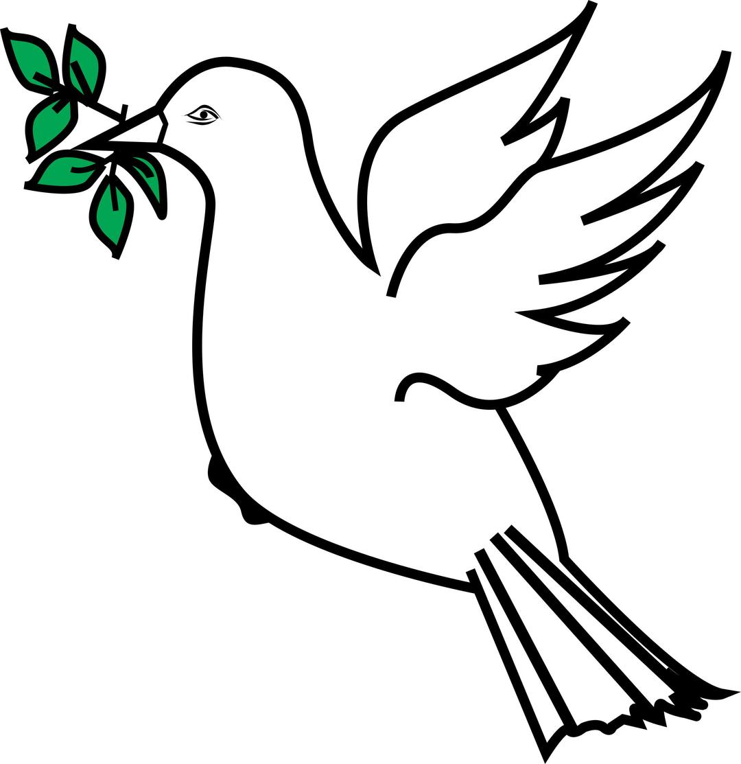 Dove and olive branch 3 png transparent