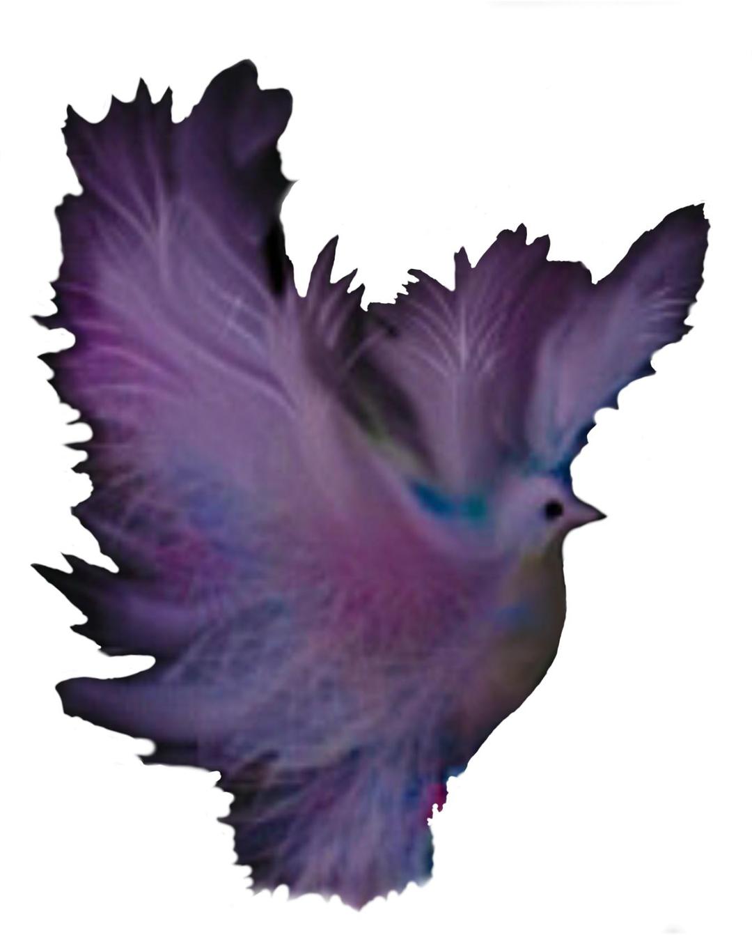 Dove Fantasy Multicolor Dreams png transparent