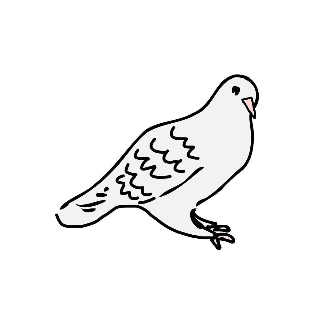 dove is sitting png transparent