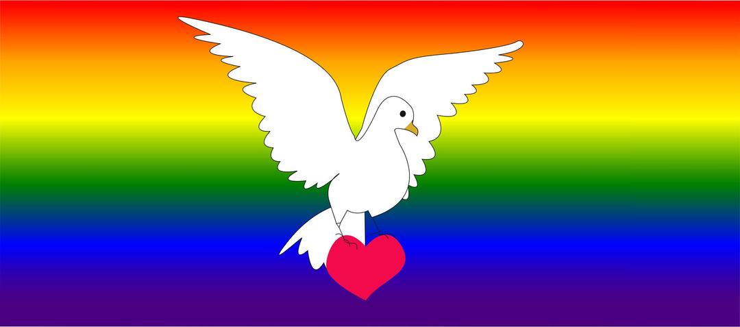 Dove of peace and love png transparent