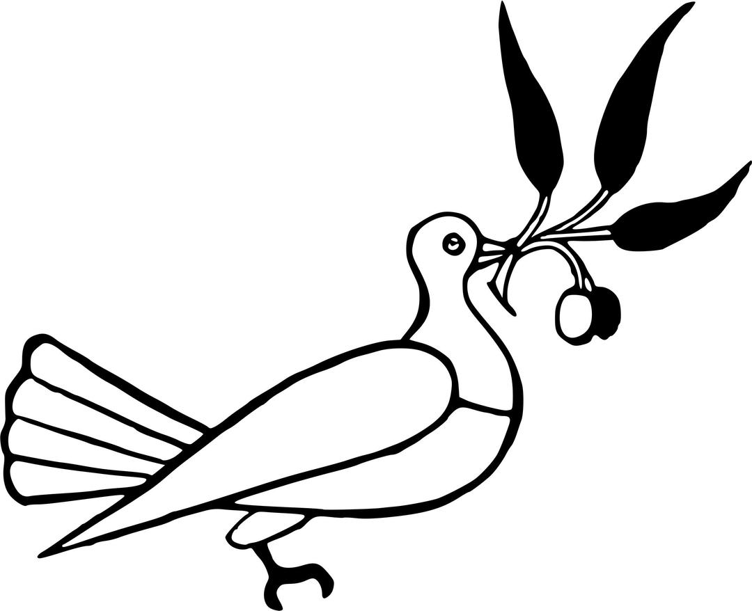 Dove with olive branch png transparent
