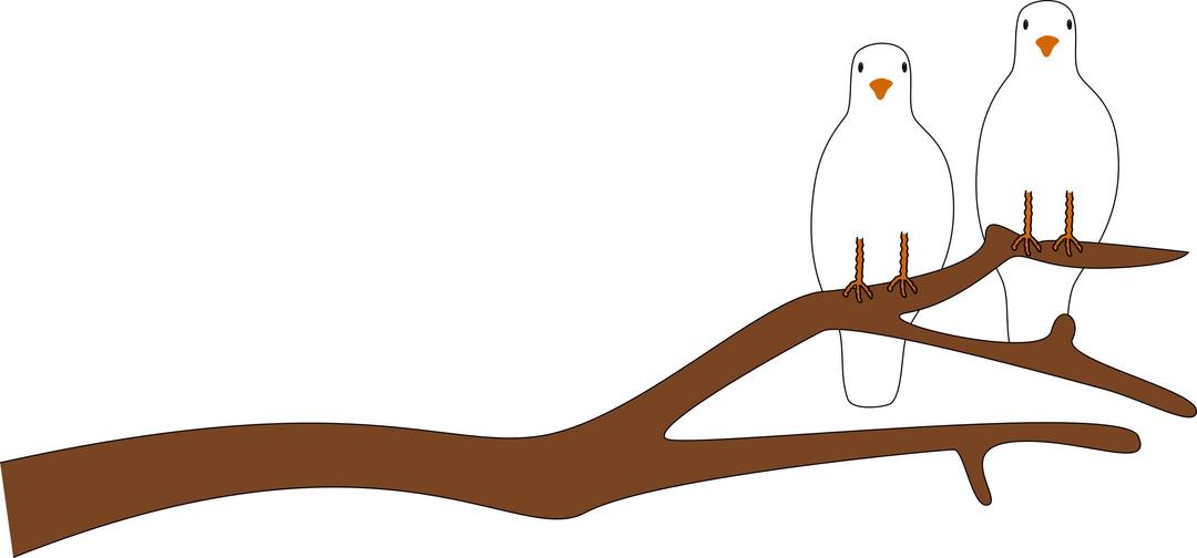 Doves on a Branch for V Day png transparent