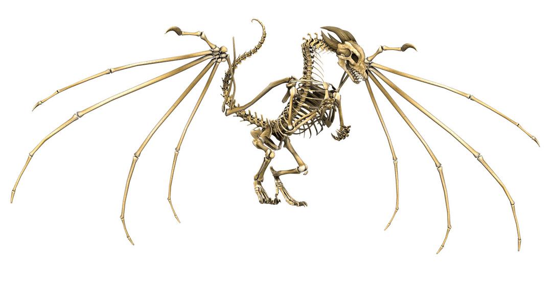 Dragon Skeleton png transparent