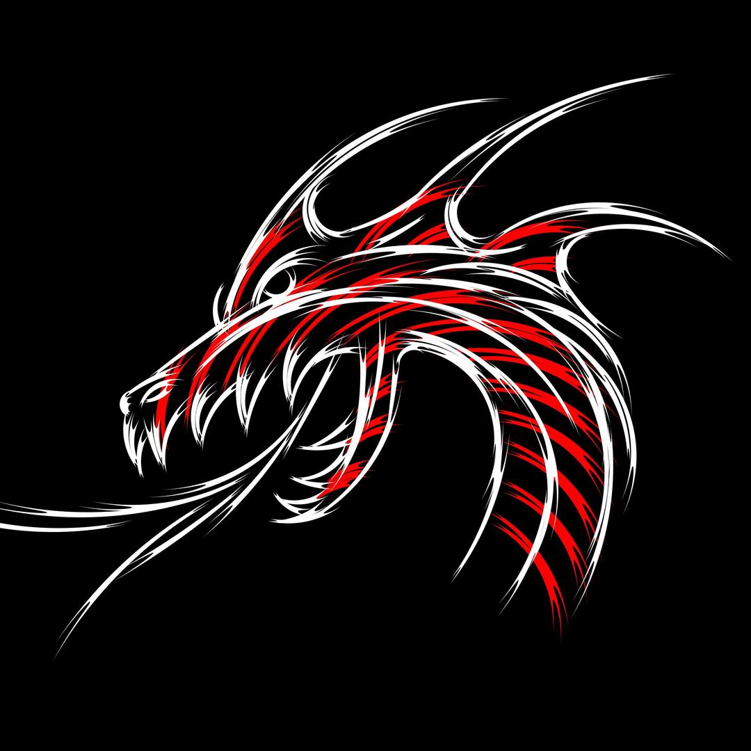 dragon sketch png transparent