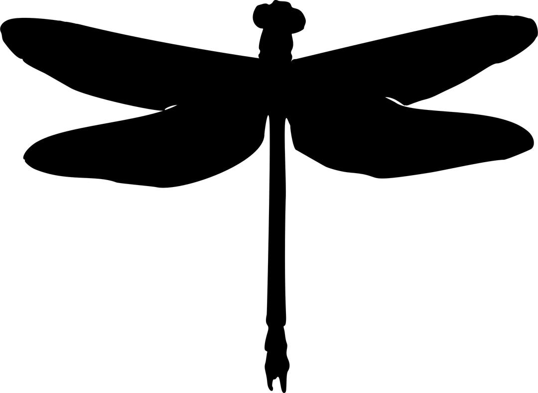 Dragonfly Silhouette png transparent