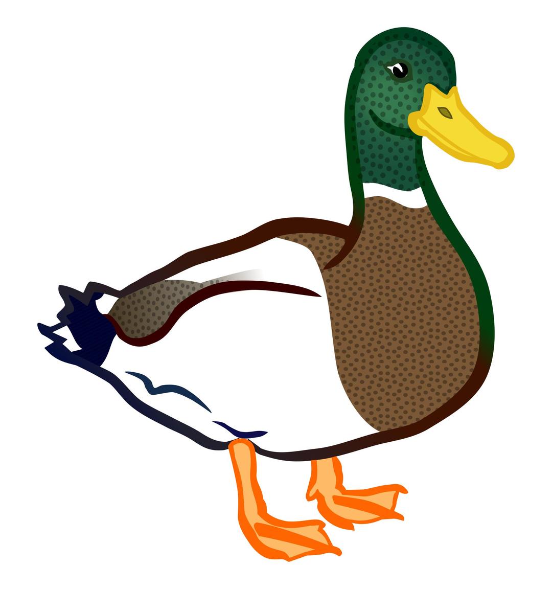 duck - coloured png transparent