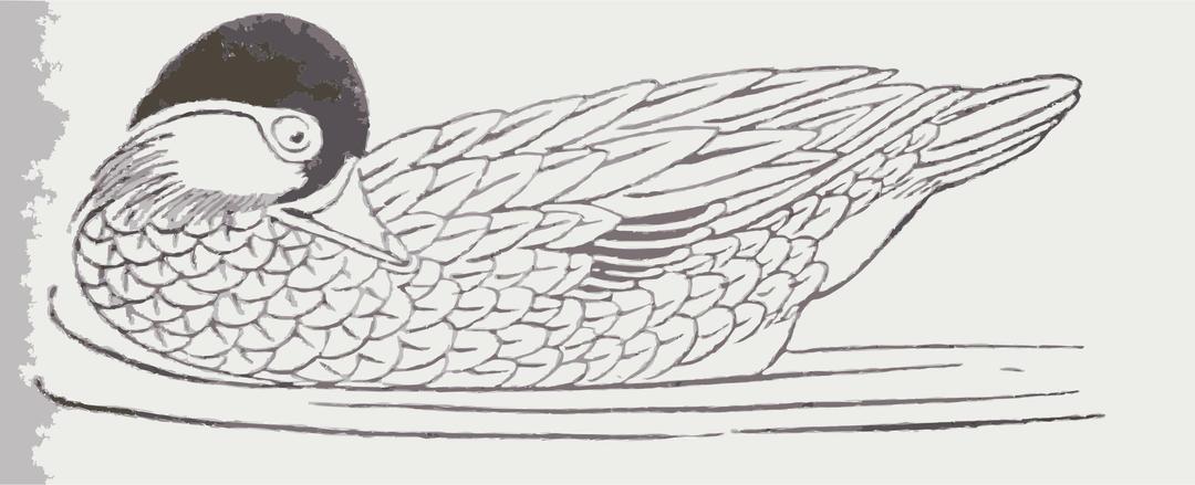 Duck Drawing png transparent