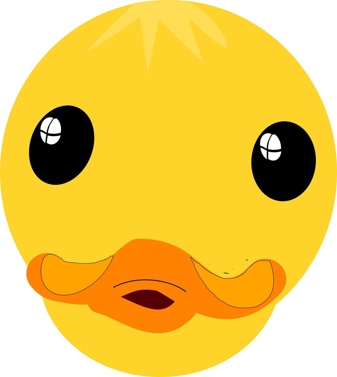Duck Face - Full png transparent