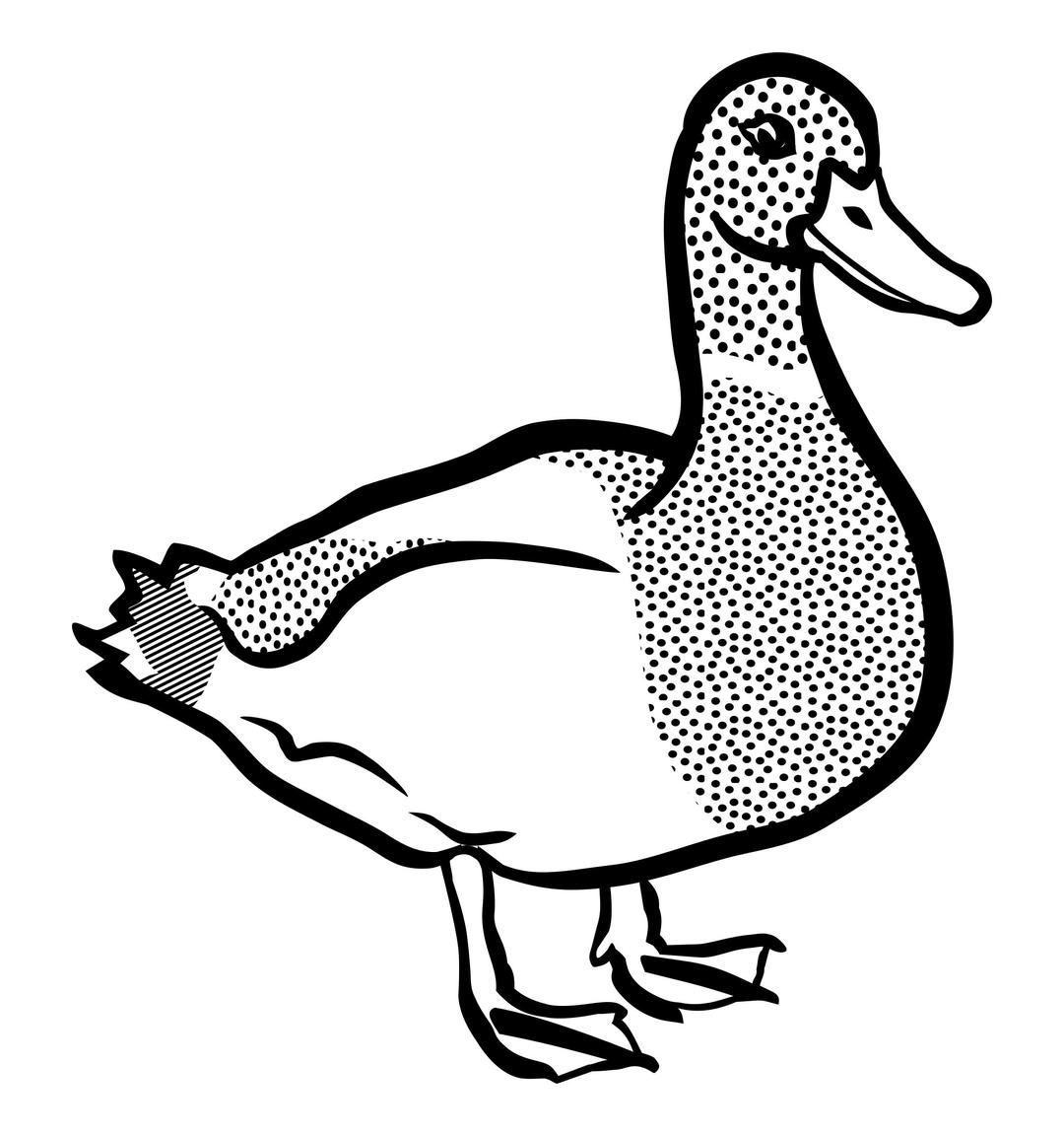 duck - lineart png transparent