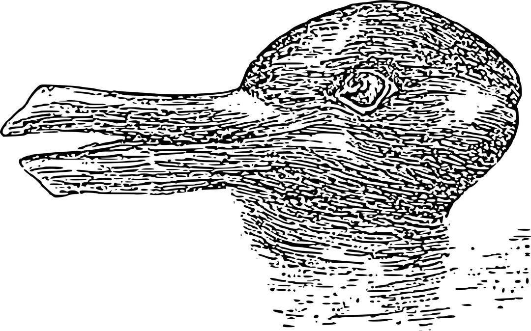 Duck-Rabbit Illusion png transparent