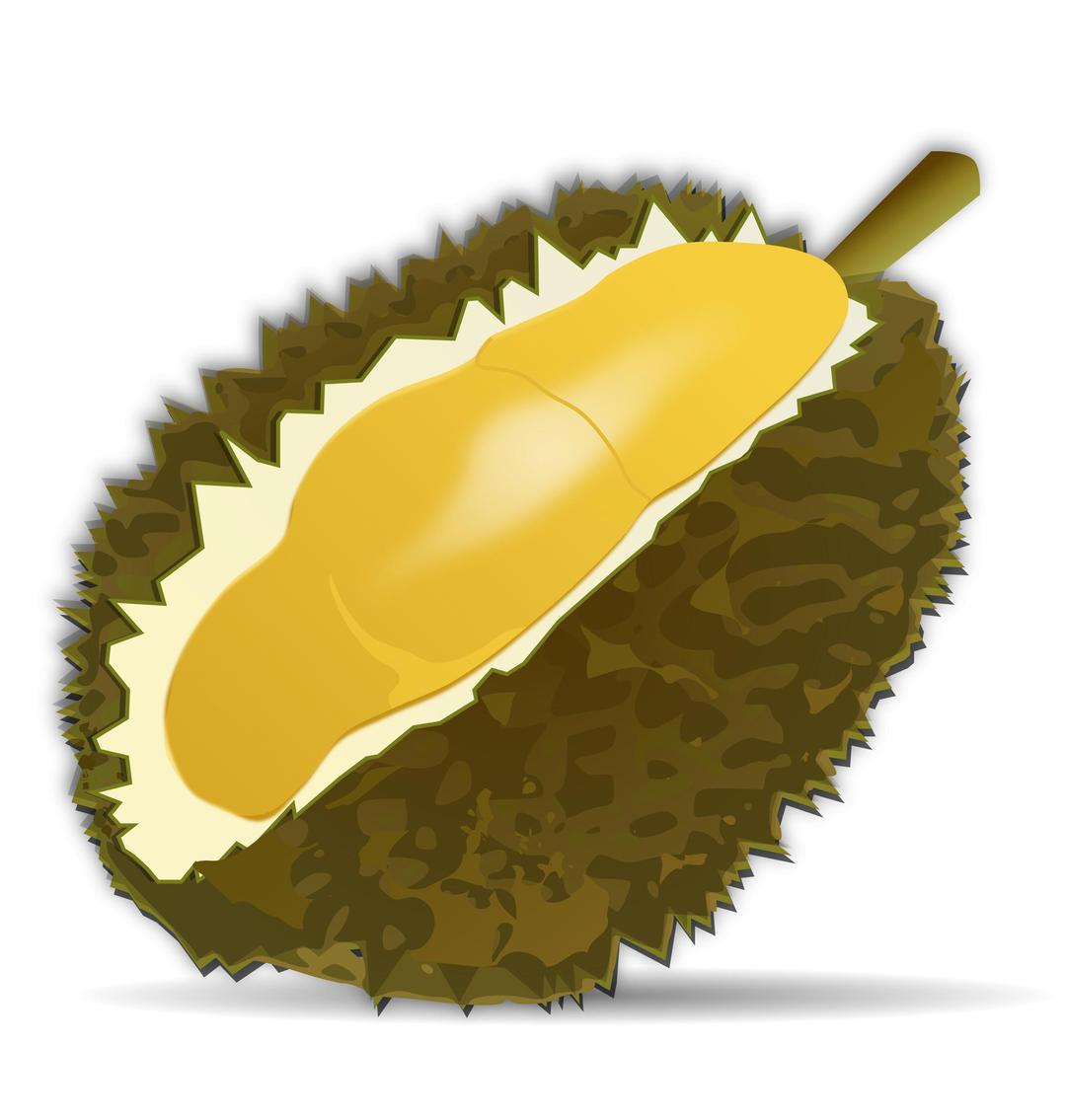 Durian png transparent