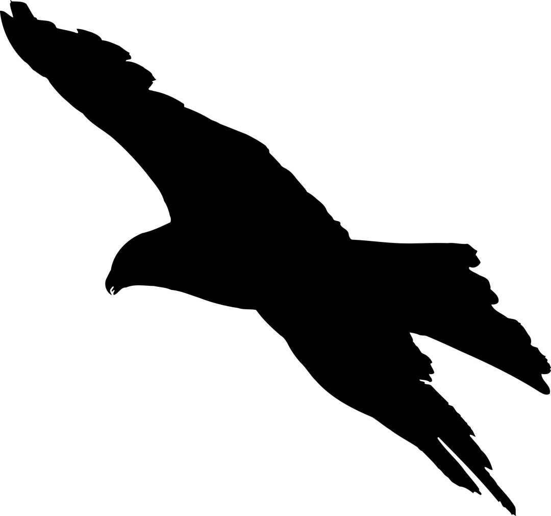 Eagle 7 silhouette png transparent
