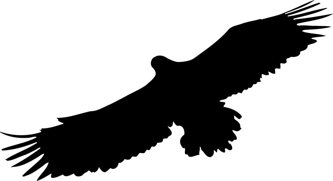 Eagle 8 silhouette png transparent